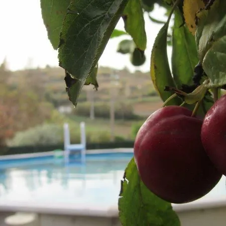 Quintal Do Freixo - Апартаменты