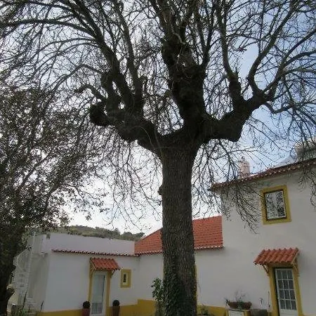 Quintal Do Freixo - Local Appartamento