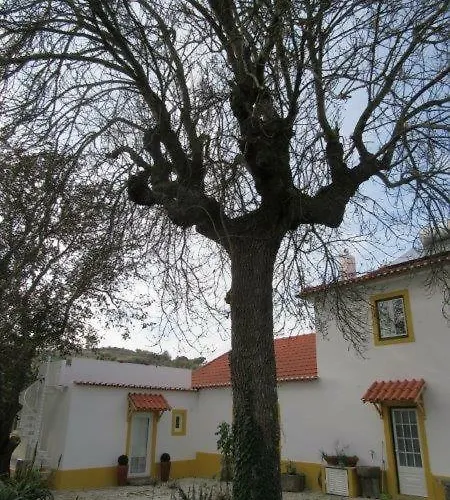 Quintal Do Freixo - Local Lägenhet